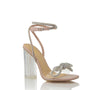 Dress Up Ankle Strap Clear Block Heels | Nude