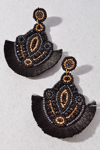 Color me Crazy Earrings | Black